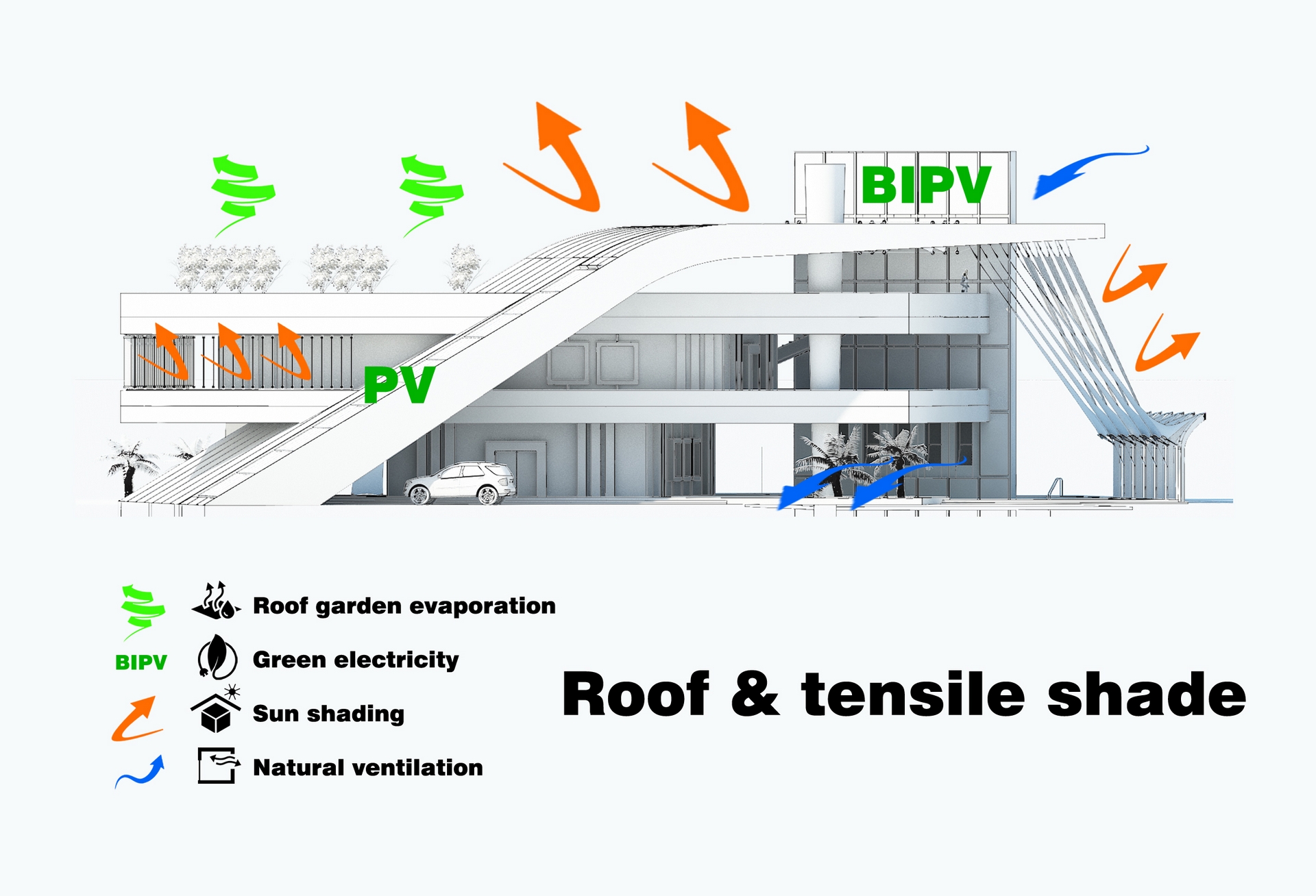 Gründächer + Tensile
